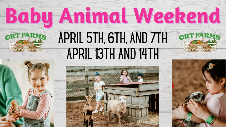 Special Events – Ort Farms